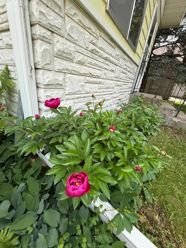 346 Vance ST, Saint Paul, MN 55102