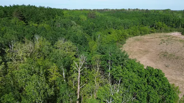 TBD County 4, Park Rapids, MN 56470