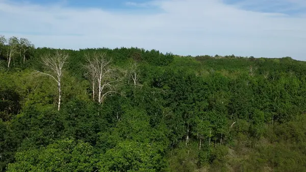 TBD County 4, Park Rapids, MN 56470