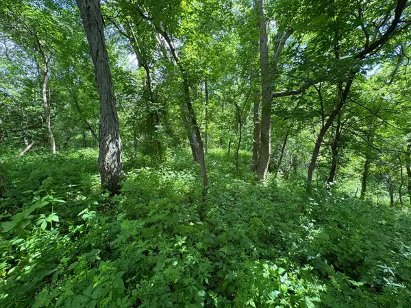 0 County Rd JJ, Arcadia, WI 54612