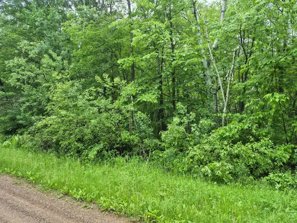 TBD Willow Dr, Garrison, MN 56450