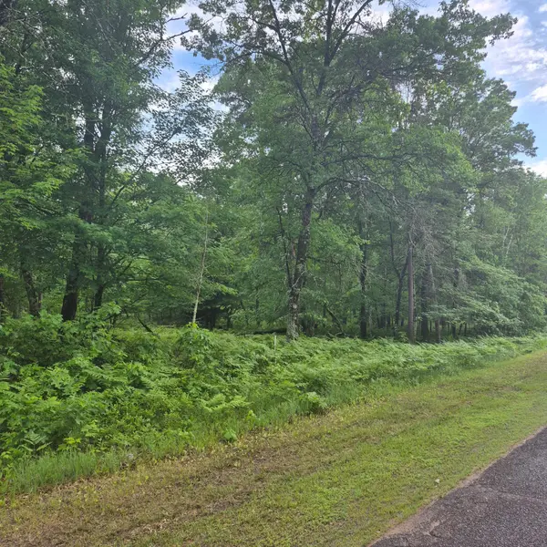 Lot 216 Deerpath Road, Danbury, WI 54830