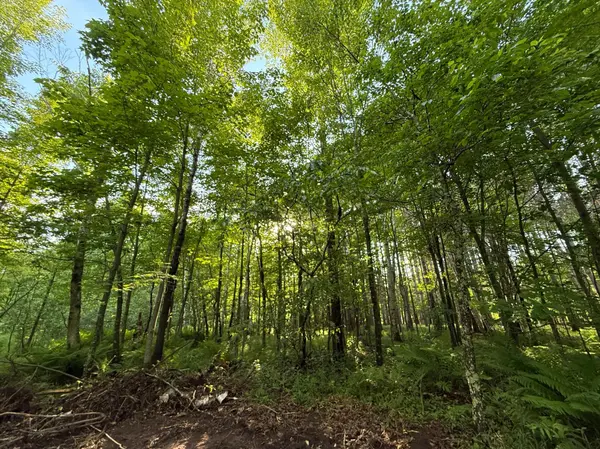 TBD Frontier LN, Sturgeon Lake, MN 55783
