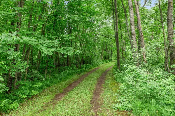 6675 Hideaway RD, Siren, WI 54872