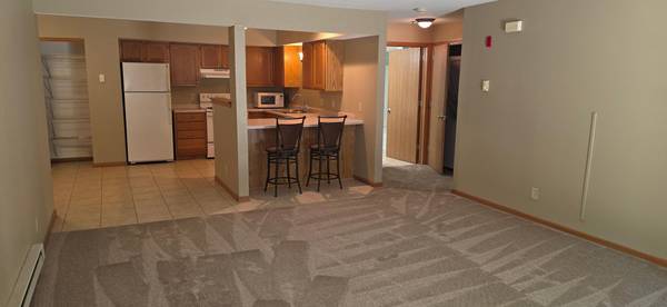 1917 Deerhaven LN NE #20, Rochester, MN 55906