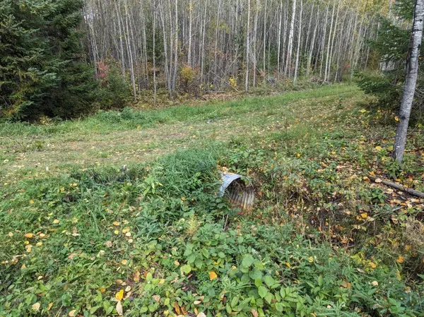 TBD Deer River Line, Littlefork, MN 56653