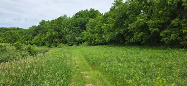 TBD Cardinal Lane, Mabel, MN 55954