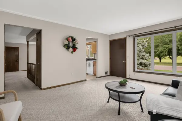 1119 Park LN, Hastings, MN 55033