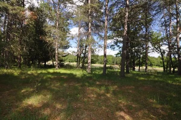 1879 State 87 NW, Backus, MN 56435