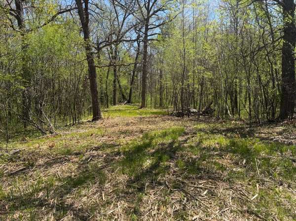 XXX State Hwy 46, Balsam Lake, WI 54810