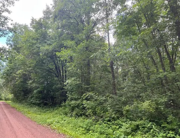 Parcel 2 Wilderness Retreat, Pine City, MN 55063