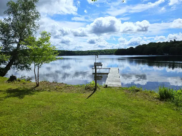 48250 Atkins Lake RD, Grand View, WI 54839