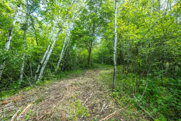 TBD 53rd, Osceola, WI 54020