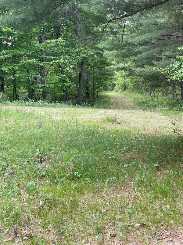 Lot 4 Big Bear CT, Danbury, WI 54830