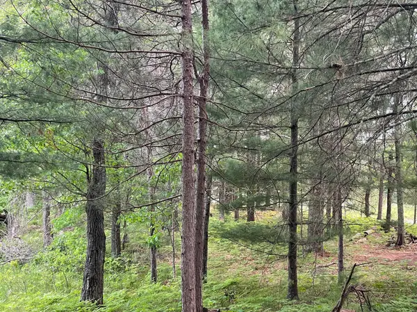 Lot 4 Big Bear CT, Danbury, WI 54830