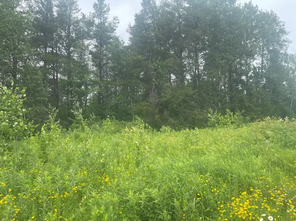 TBD Degerstrom RD, Askov, MN 55704