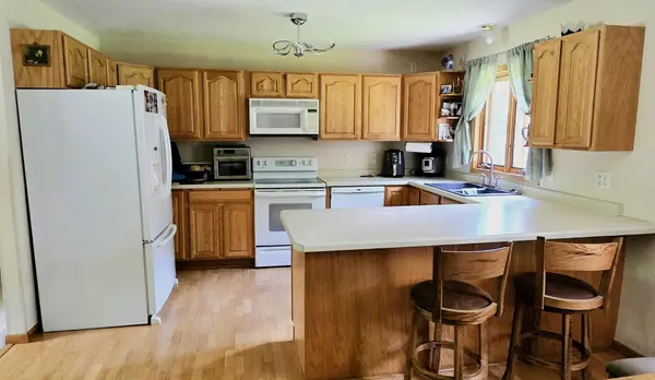 22565 Walkerbrook DR, Bagley, MN 56621