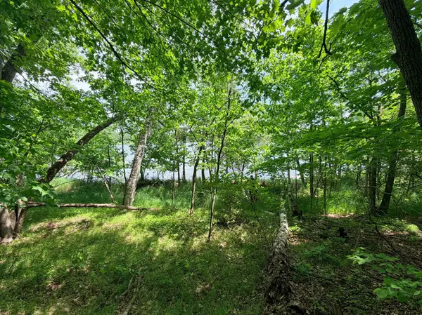 TBD Buxton Road NW, Hackensack, MN 56452