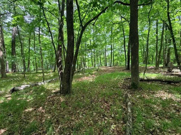 TBD Buxton Road NW, Hackensack, MN 56452