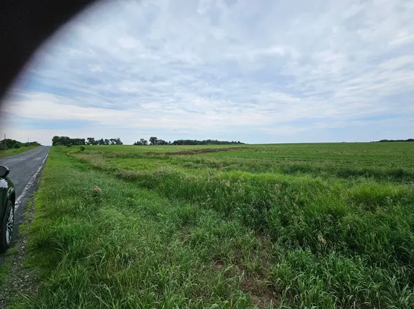 40 Acres County Road W, River Falls, WI 54022