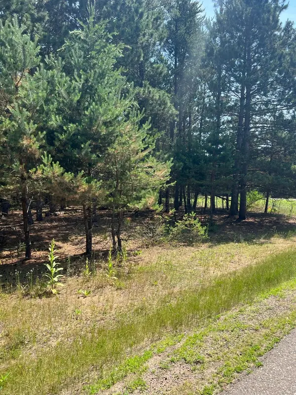TBD Thomas DR, Little Falls, MN 56345