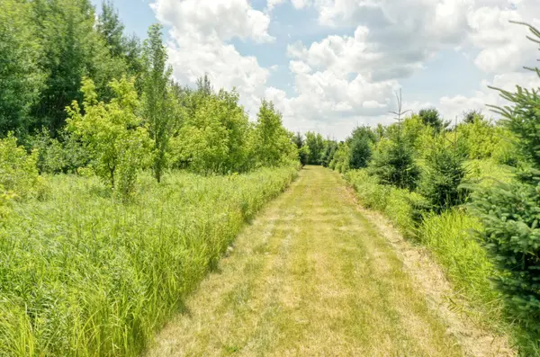 TBD 555th St, Rush City, MN 55069