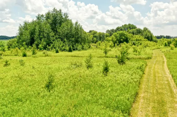 TBD 555th St, Rush City, MN 55069