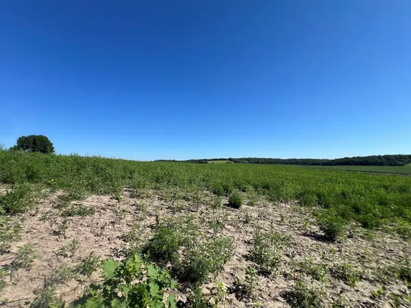 000 330th, Ashby, MN 56309