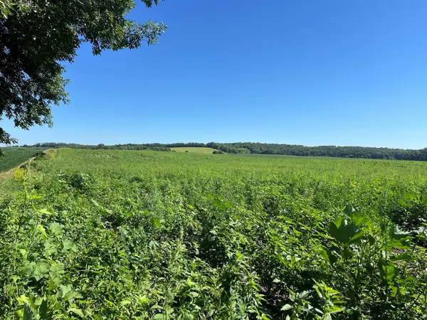 000 330th, Ashby, MN 56309