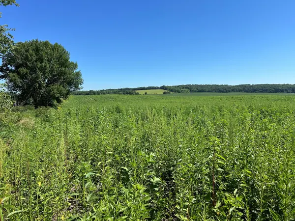000 330th, Ashby, MN 56309