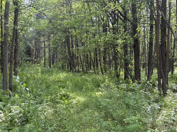 560th Street, Palisade, MN 56469