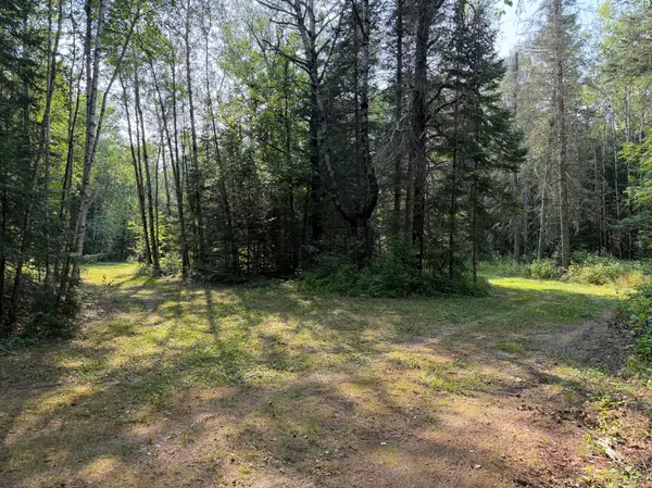 XX County Rd 1, Emily, MN 56447