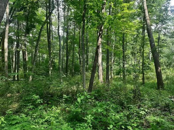 TBD Xxx 279th ST, Osceola, WI 54020
