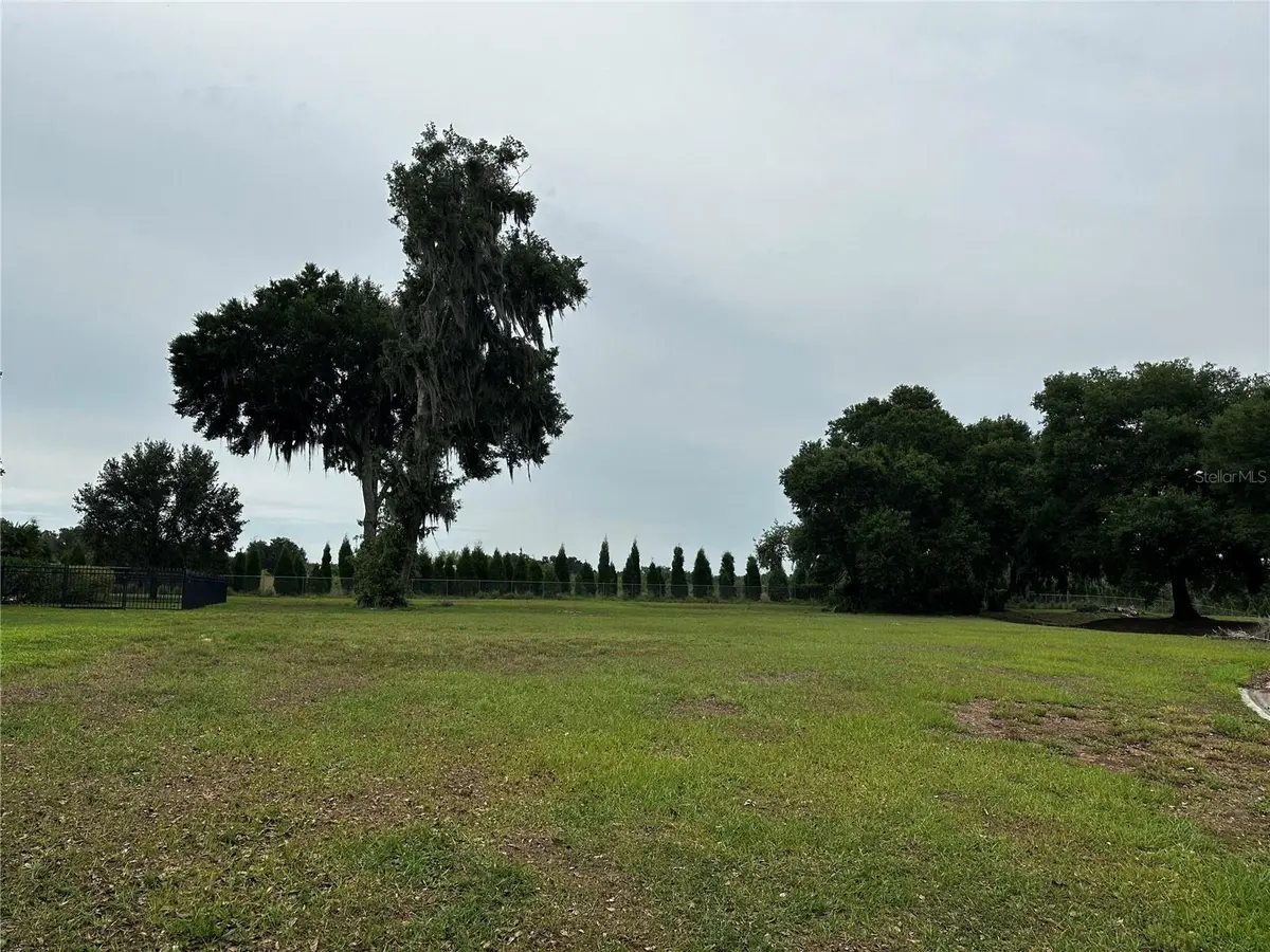 10932 FLINT ESTATES DR, Thonotosassa, FL 33592