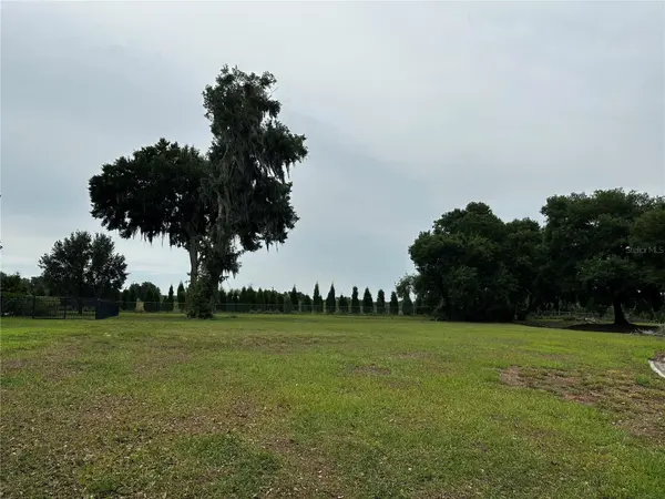 10932 FLINT ESTATES DR, Thonotosassa, FL 33592