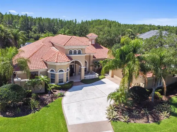 4730 RUE BORDEAUX,  Lutz,  FL 33558
