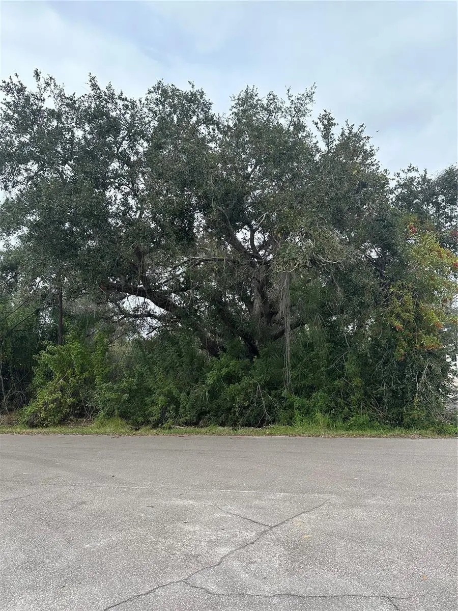 22342 BRADFORD AVE, Port Charlotte, FL 33952