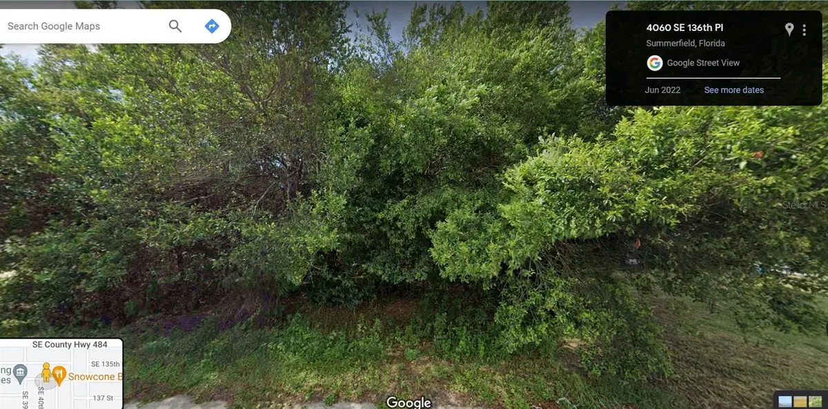 53 UNDETERMINED, Summerfield, FL 34491