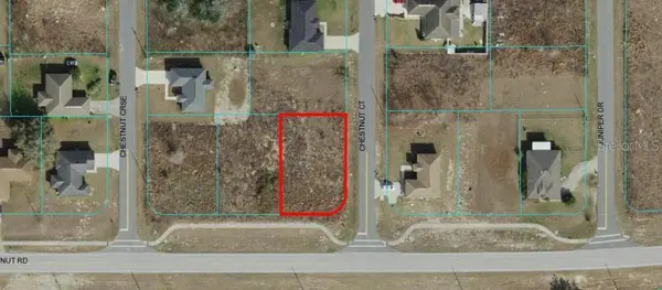 Lot 1 CHESTNUT RD, Ocala, FL 34480