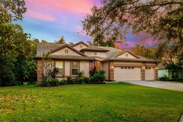12532 RIVER BIRCH DR, Riverview, FL 33569