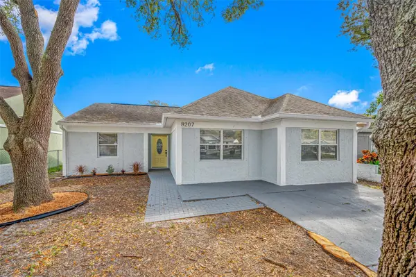 8207 CLERMONT ST, Tampa, FL 33637