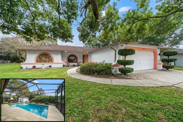 11372 SAND HILL AVE, Spring Hill, FL 34608
