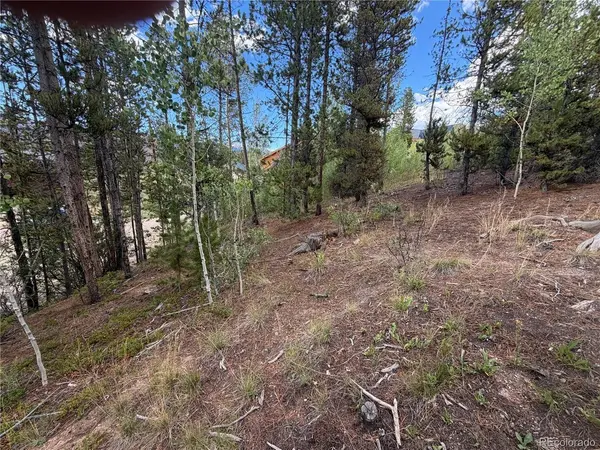 114 GCR 4905, Grand Lake, CO 80447
