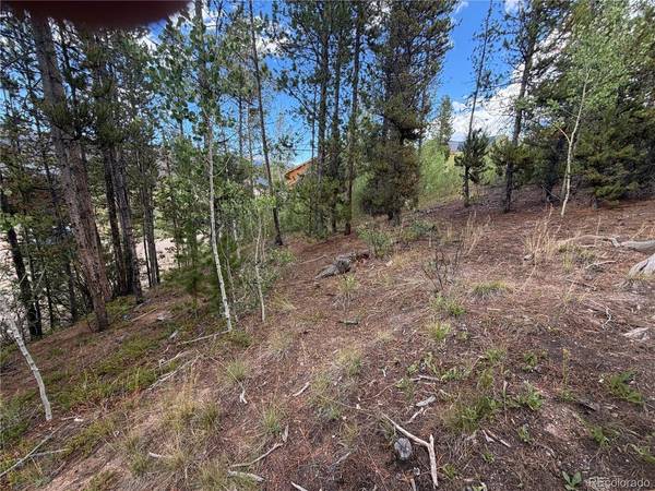 114 GCR 4905, Grand Lake, CO 80447