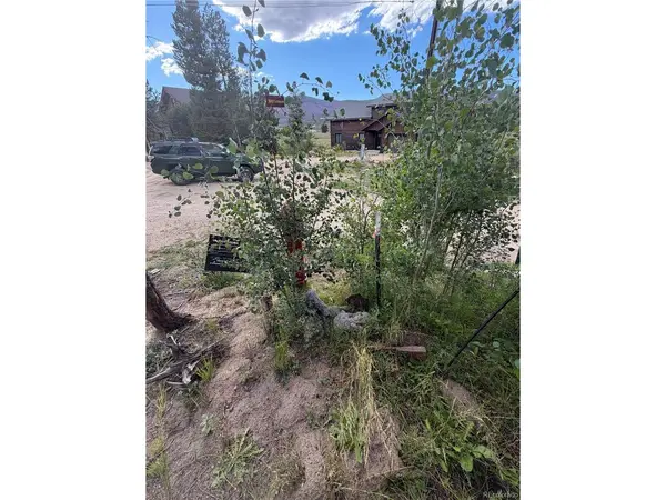 114 GCR 4905, Grand Lake, CO 80447