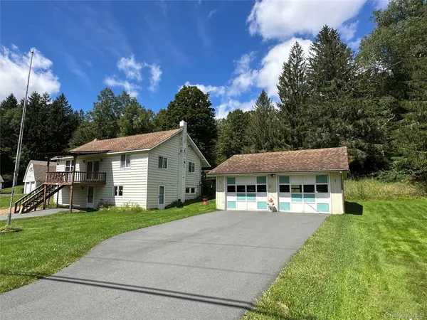 979 DeBruce RD, Livingston Manor, NY 12758