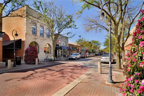 140 S Loomis ST, Naperville, IL 60540