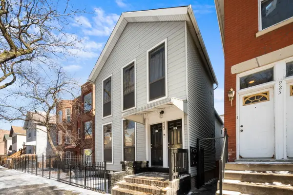 923 S Carpenter ST, Chicago, IL 60607