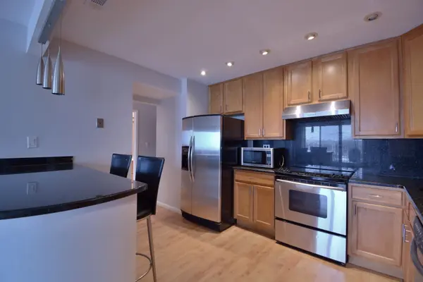 1717 W Crystal LN #503, Mount Prospect, IL 60056