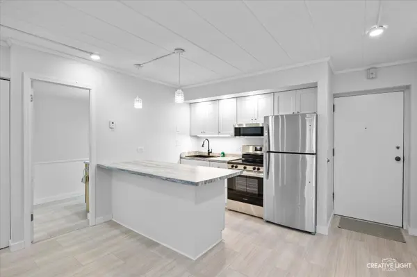 520 Burning Tree LN #102, Naperville, IL 60563